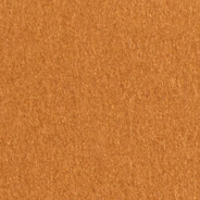 Pennylite